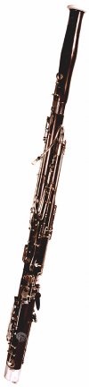 Bassoon