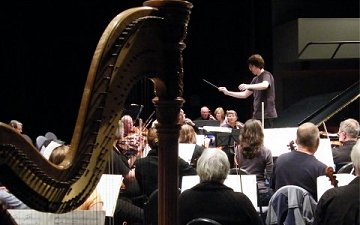 Through harp