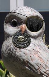 Pirates morepork