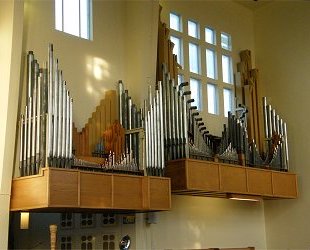 The organ