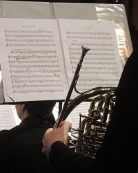 Horn at rest