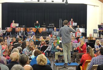 Violins 2