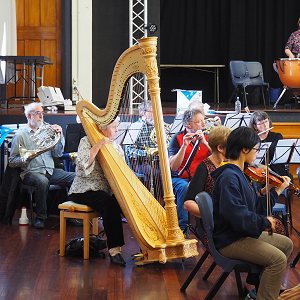 harp and neighbours