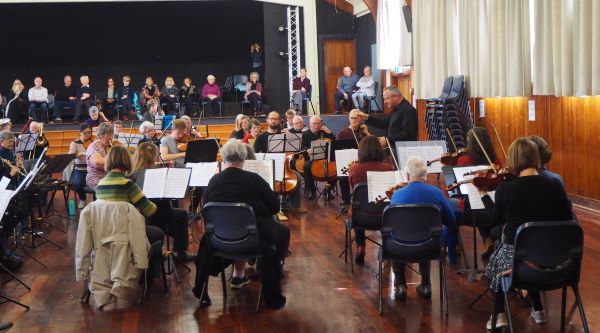 The strings, all further apart than usual