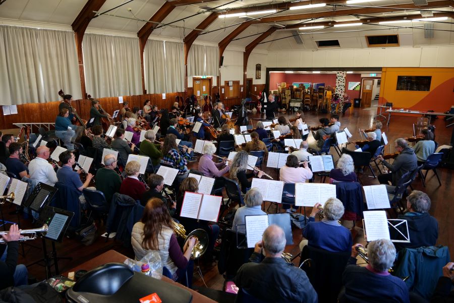 orchestra from back